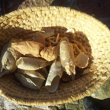 Hosteria Na Mazurach 3* Dabrowno (Ostroda)