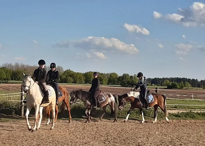 Gasthof Na Mazurach Dąbrówno